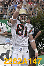 Dane Looker